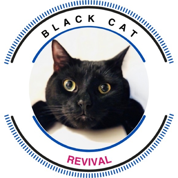 blackcatrevival